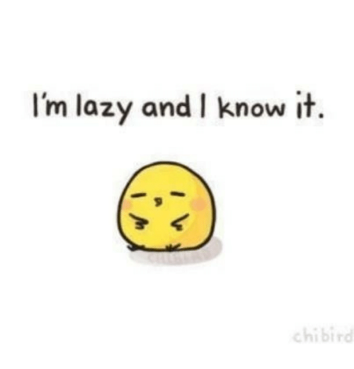 I'm lazy and I know it!