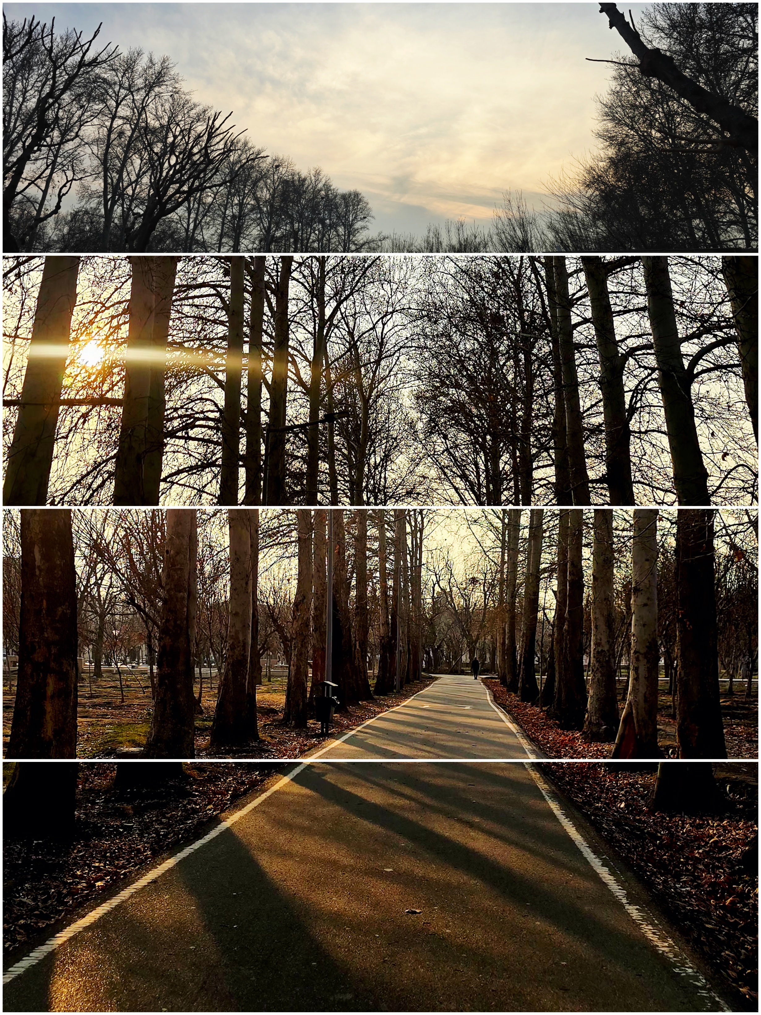 آرزومندِ رخِ شاهِ چو ماهم