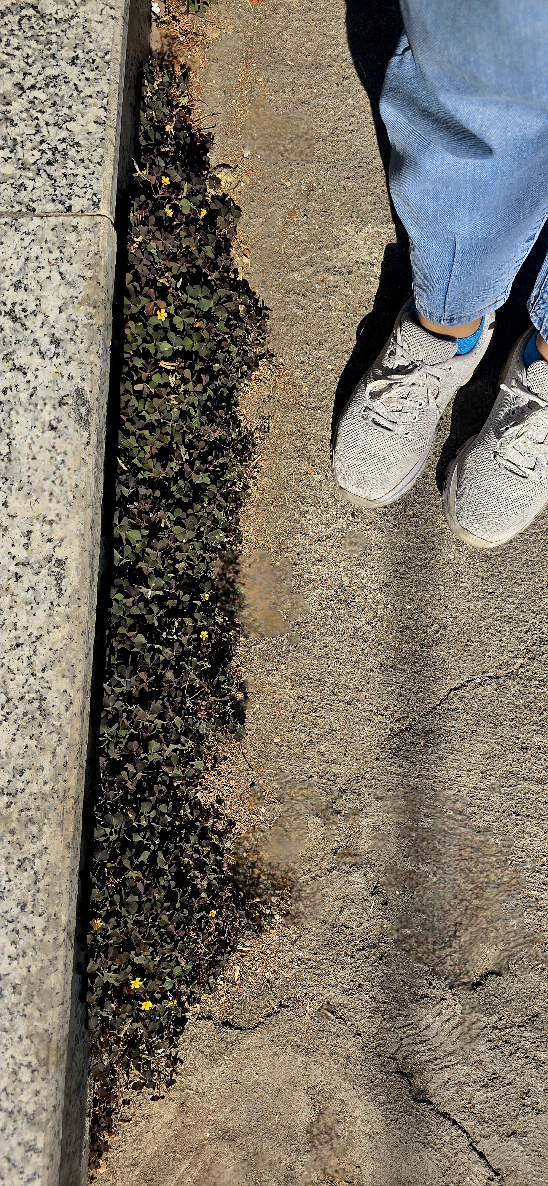 چالش من، زن، زندگی