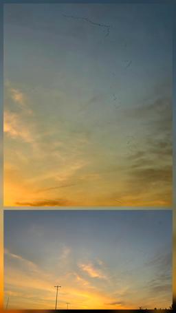 ۱۸۸. برنامه‌ریزی