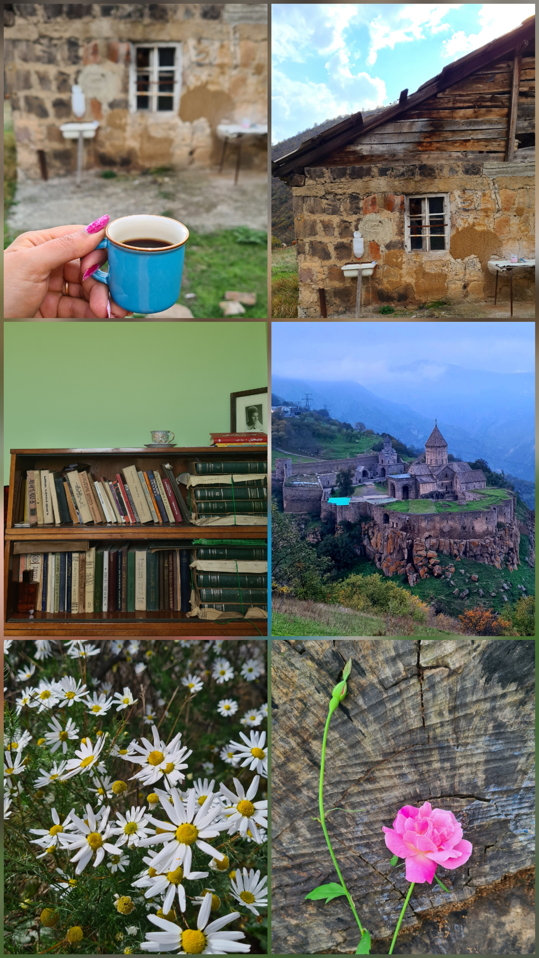 باز هم چند عدد عکس