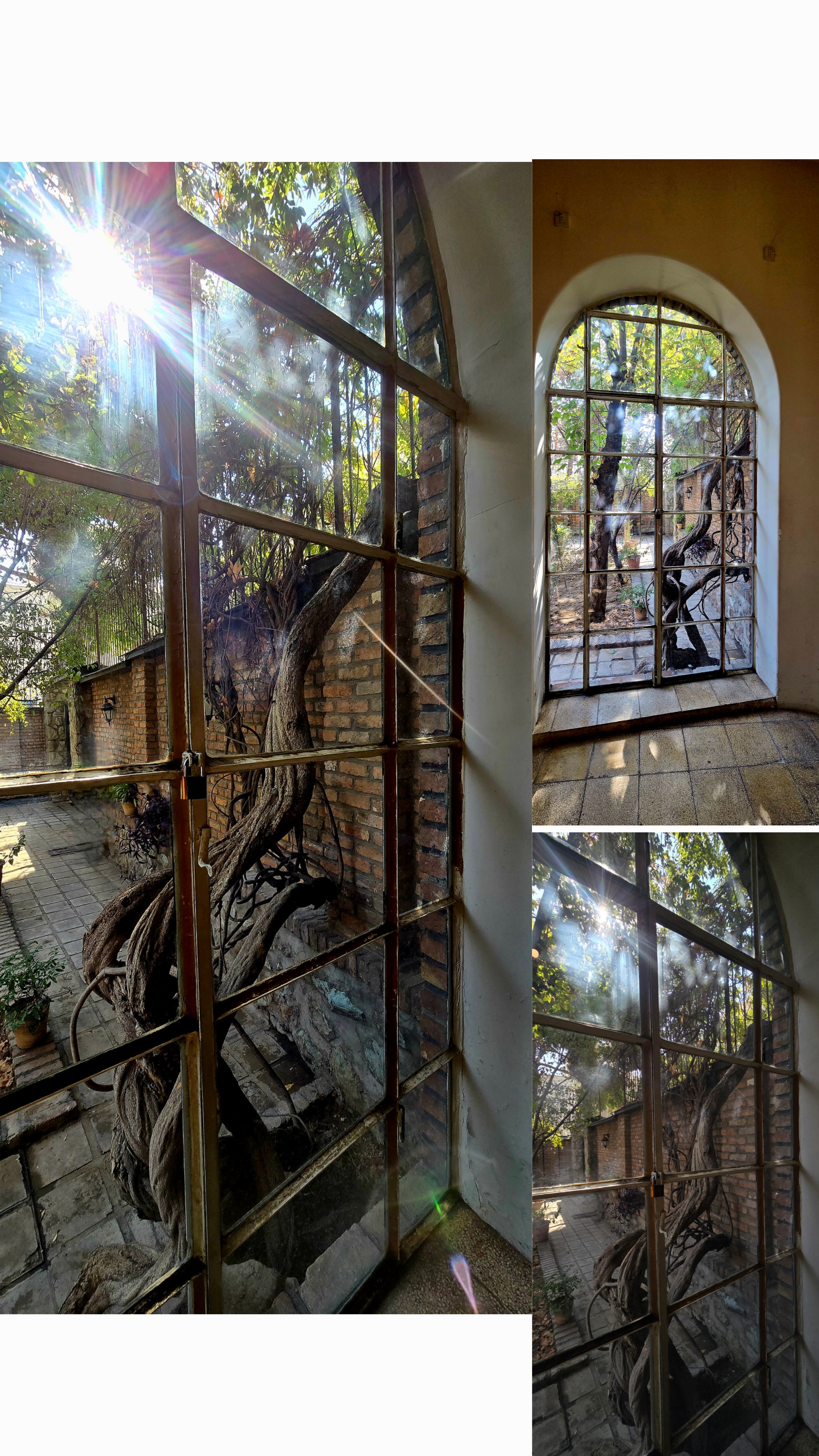 این پنجره اتاق جلال آل احمد است.