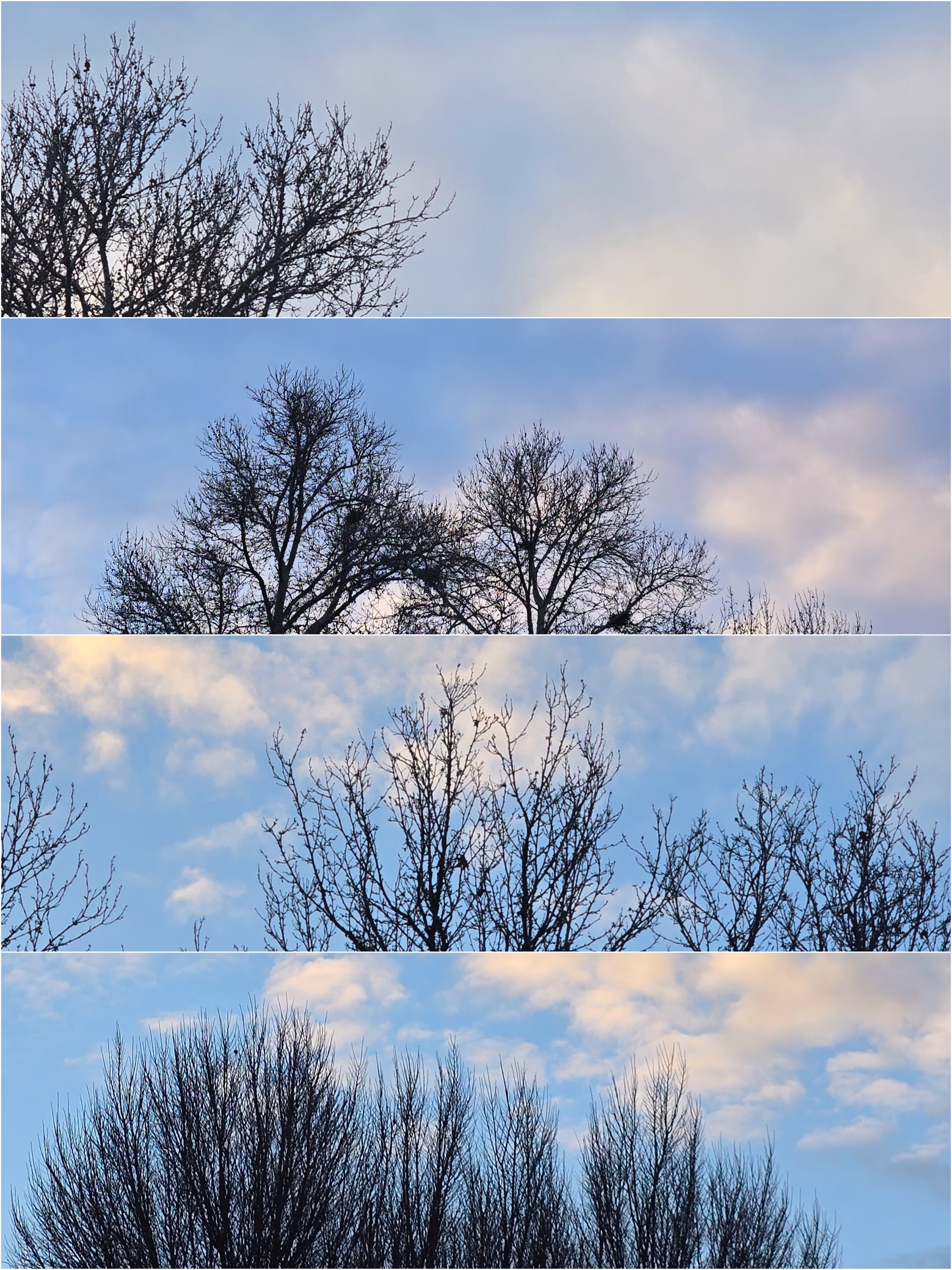 یک چهارم روز