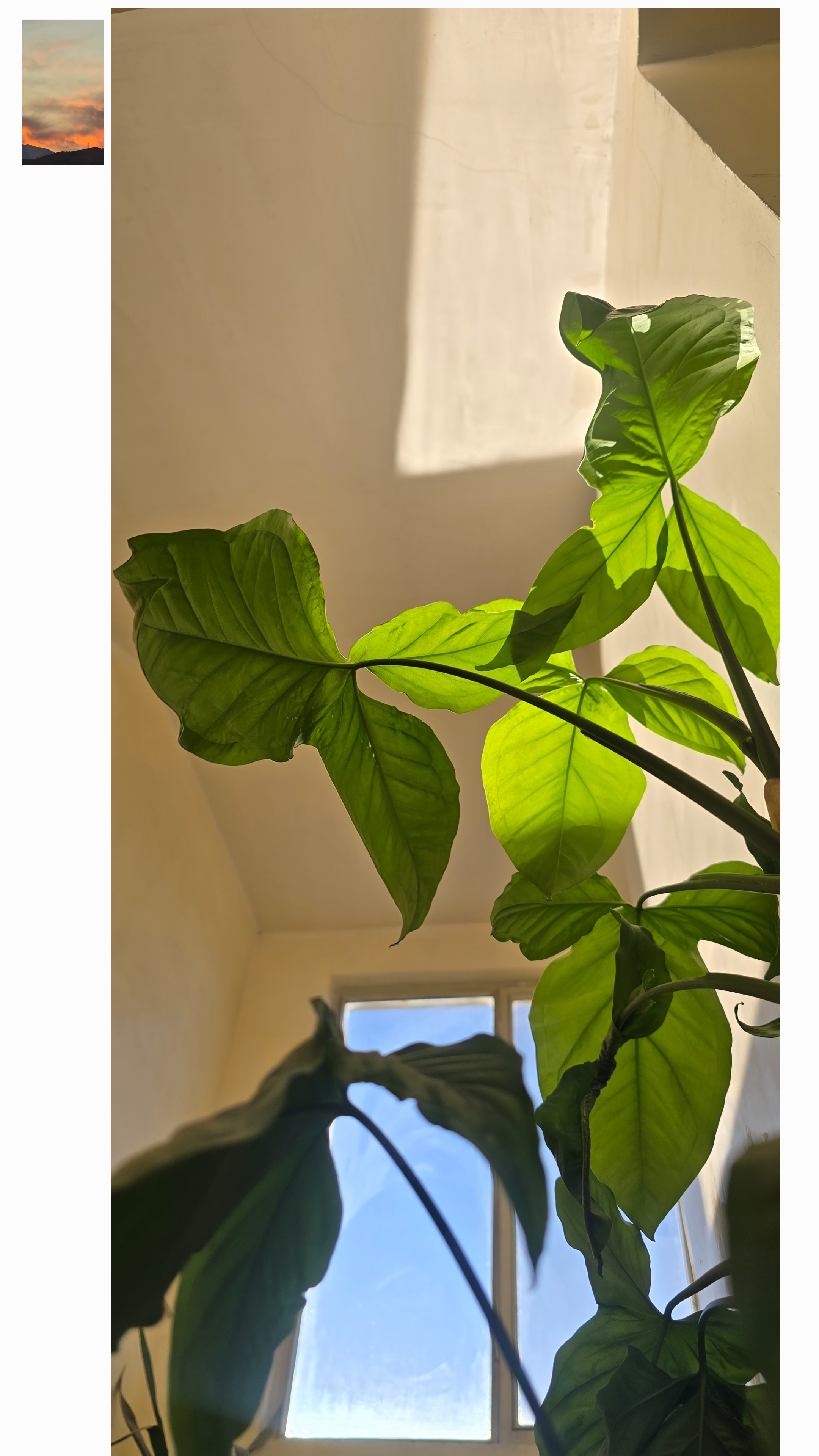 کاش نوری بتابد