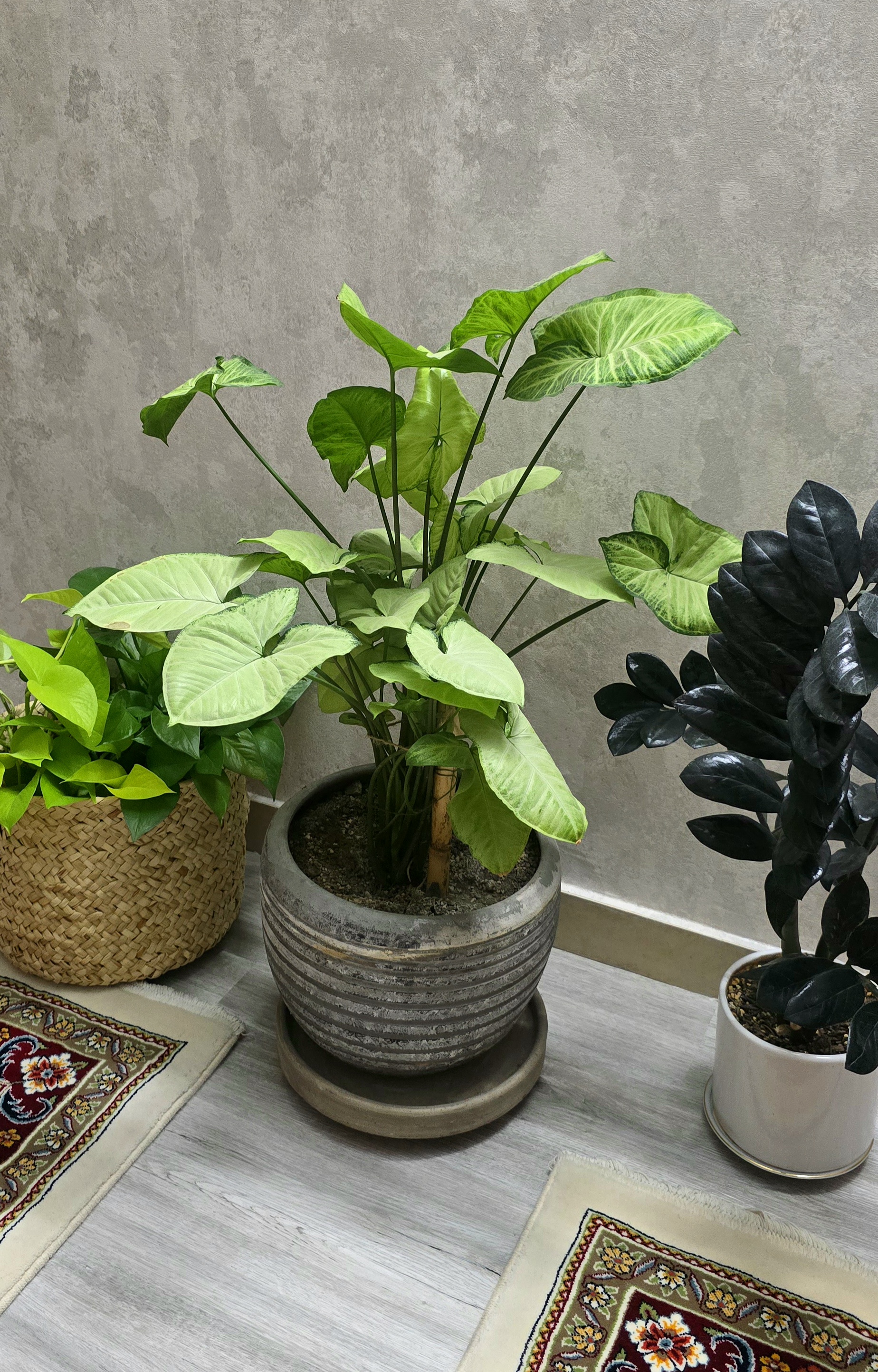 اجازه بده گوشه‌ی میزت نامرتب باشد.