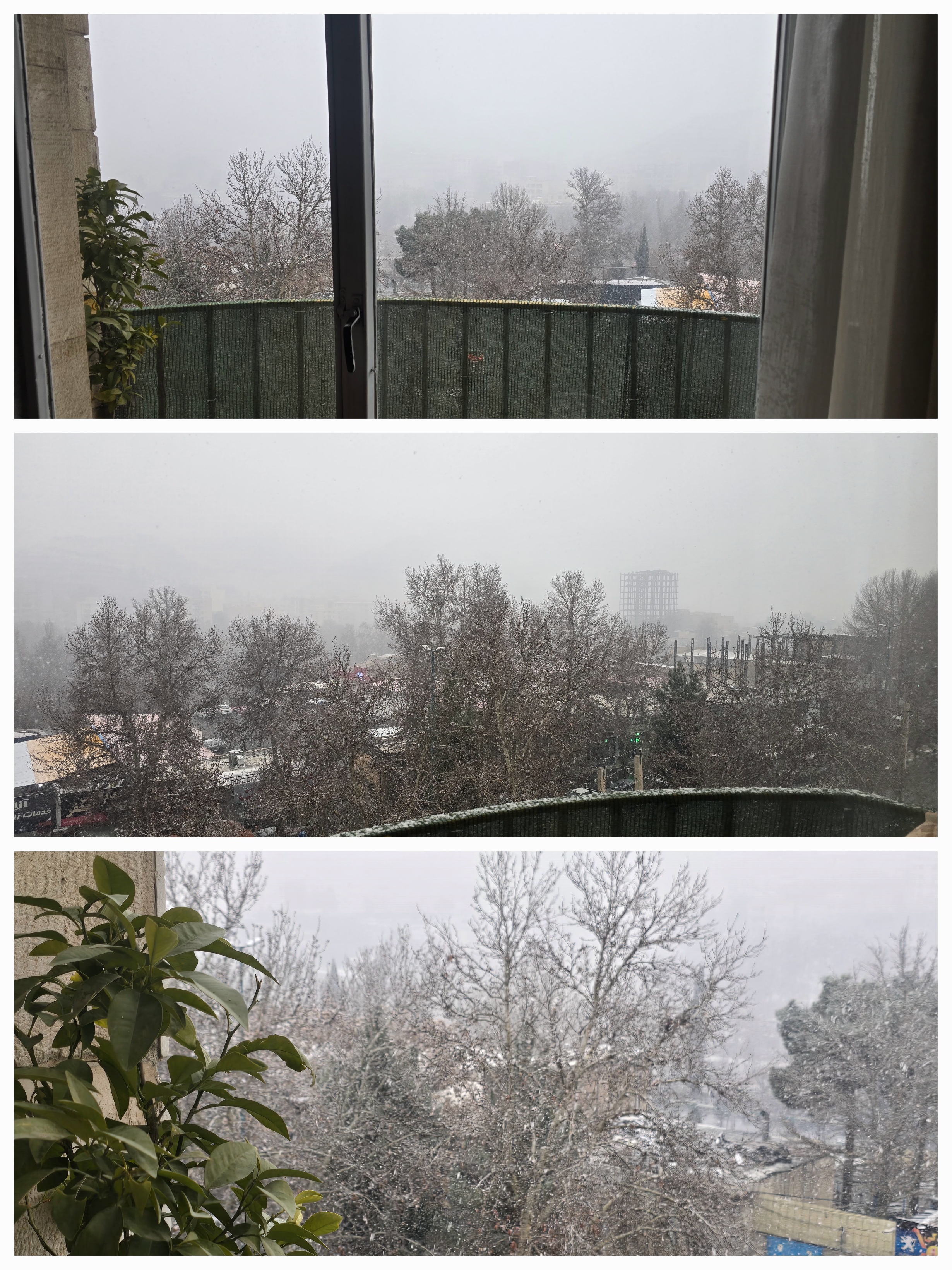 رقص آزادی...