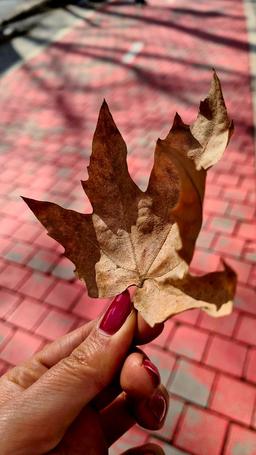 روز سیزدهم _ چالش ۲۱