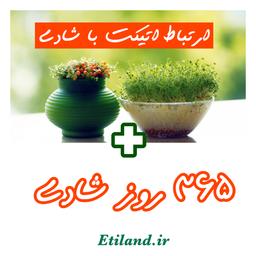 ارتباط اتیکت با شادی + یک چالش