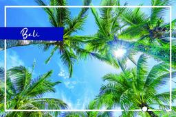 تور بالی، تور شگفتی‌ها