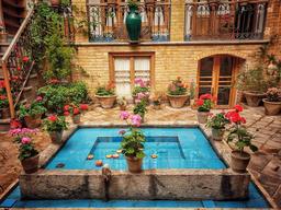 درخت حیاط بی بی