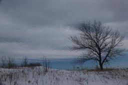 آموزه‌های طبیعت