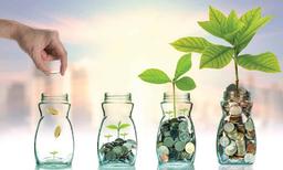 یک برش به توسعه کسب و کار؛  توسعه فازبندی شده (تدریجی) یا توسعه بزرگ مقیاس