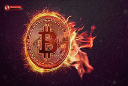 کدام ارز دیجیتال توکن سوزی دارد