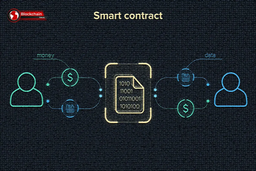 اسمارت کانترکت چیست