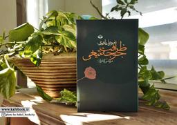 معرفی کتاب ظرافت جوجه تیغی