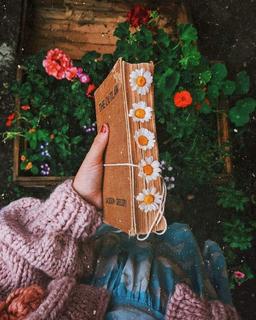 میان این دو