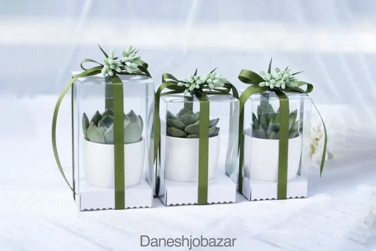 جعبه‌ های شفاف و طلقی برای بسته بندی محصولات