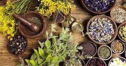 هر آنچه درباره داروهای گیاهی بهتر است بدانیم!