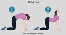 ۵ ورزش برای  درمان تنگی کانال نخاعی و کمر درد