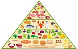 هرم غذایی
