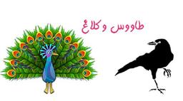 کلاغ و طاووس?