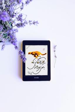 یوزپلنگانی که با من دویده‌اند | چالش مرداد ۱۴۰۲ طاقچه