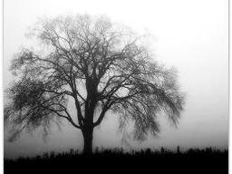 زندگی سیاه و سفید نیست