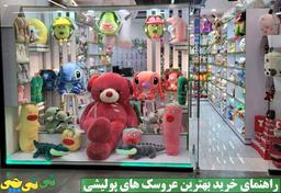 11 نکته کاربردی برای خرید بهترین عروسک پولیشی