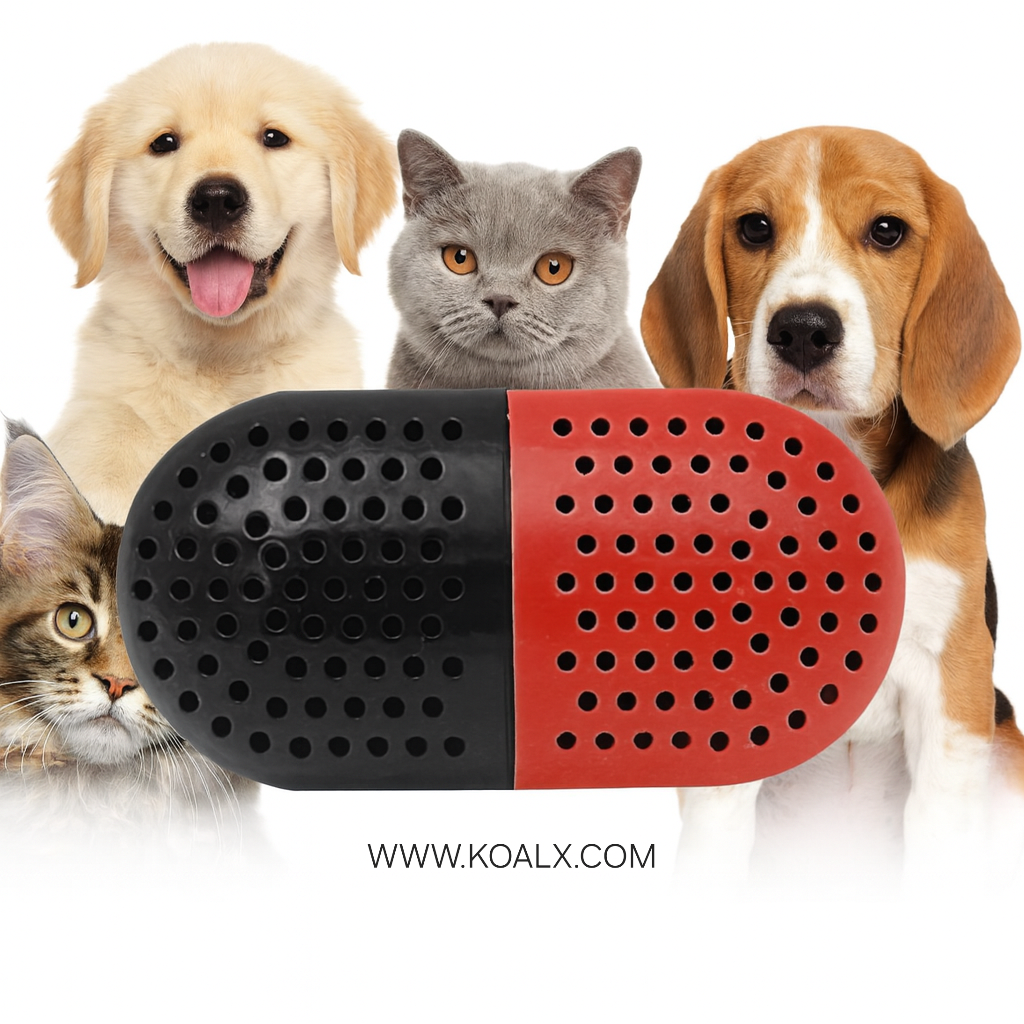 بوگیر پت و حیوانات خانگی کوال ایکس