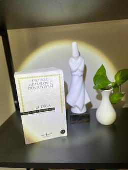 عرفان چوپان گونه