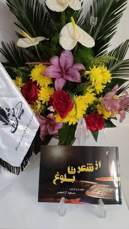 چگونه شعرهای خود را به کتاب تبدیل کنید؟