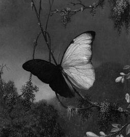 ?? Level Up Your Self-Care Game