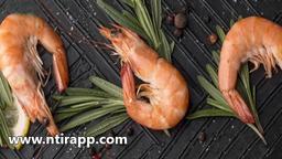 صادرات میگو