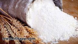 واردات و صادرات آرد