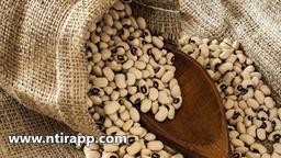 خواص لوبیا چشم بلبلی