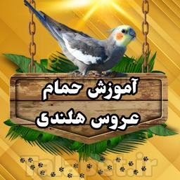 آموزش حمام عروس هلندی