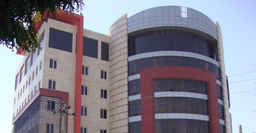 خاطرات مدیر عامل - استراتژی سرخ و آبی