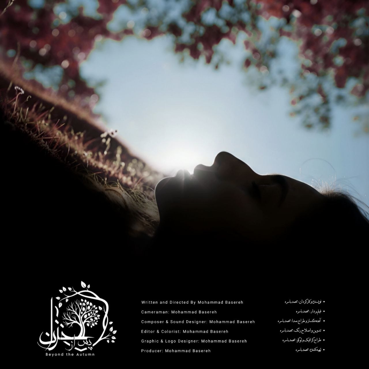 Beyond The Autumn - Mohammad Basereh