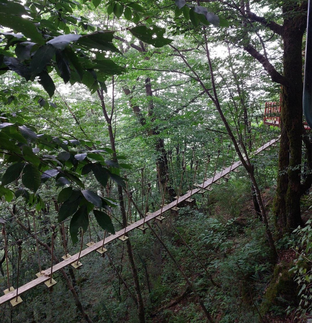 با ظلم چه باید کرد؟