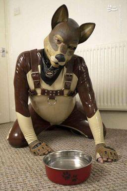 انسان سگ نما