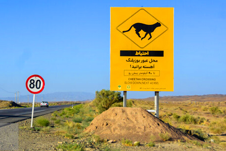 مشهد با ماشین خیلی راهه دوست من