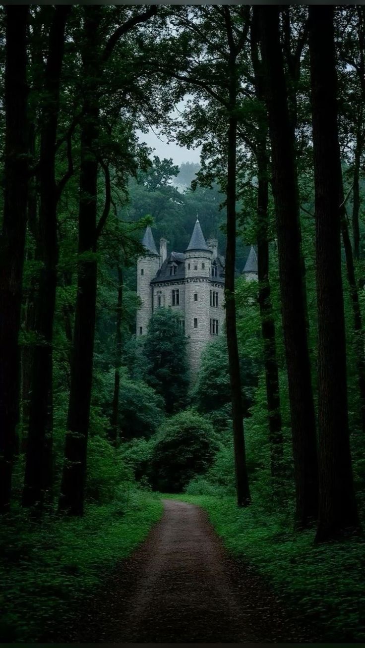 از هیاهوی جهان بگریز، پی اهدافت بگرد