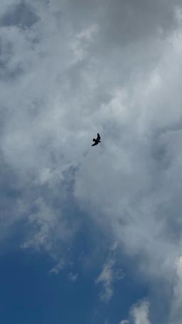 راهکار و توصیه برای این روزها