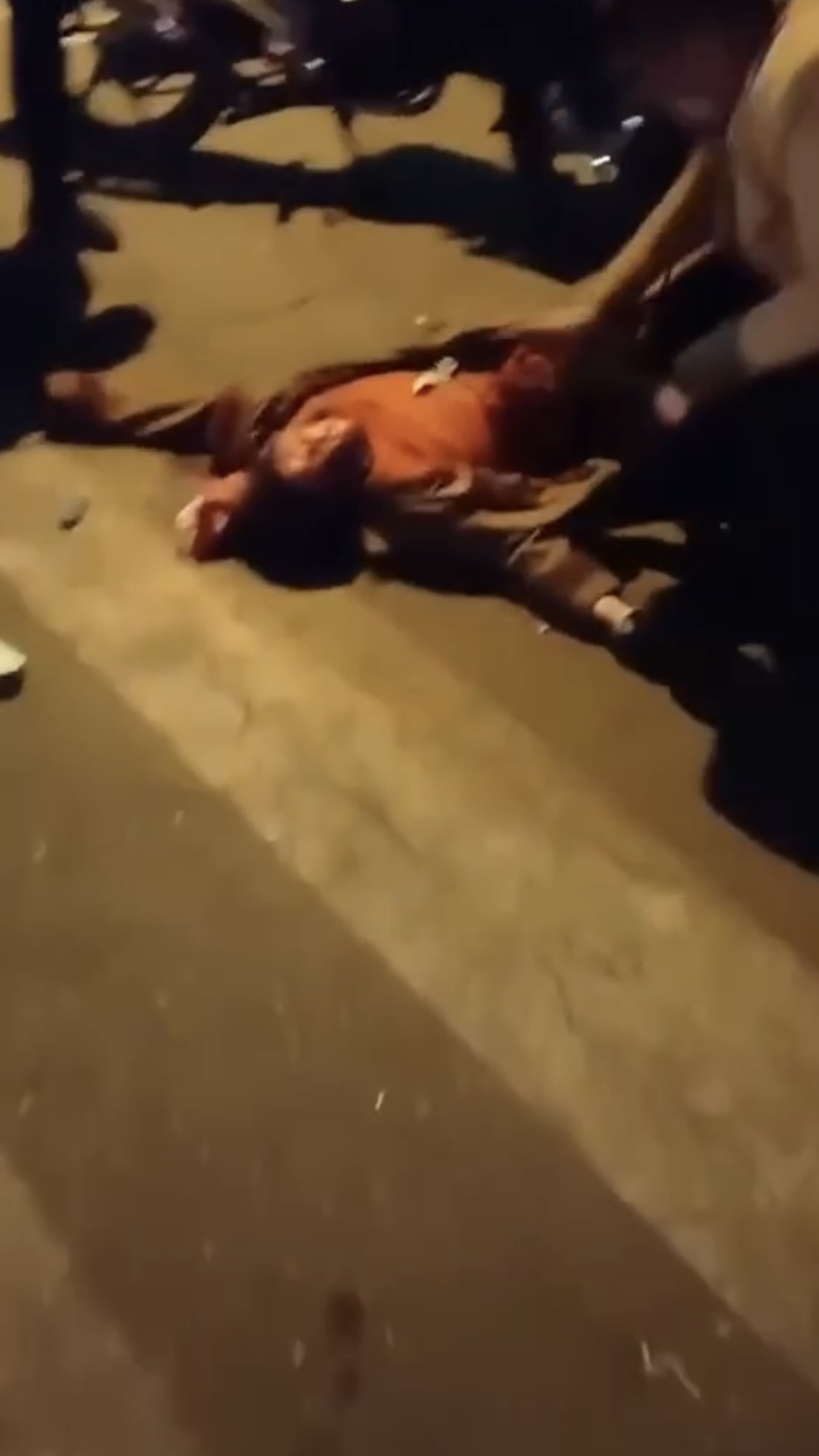 عکس‌هایی که باید ببینید