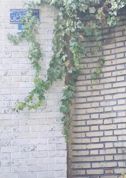 خیابانِ «خانه‌باغ»