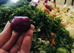 وقایع نا نوشته