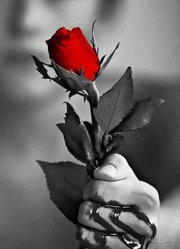 عشق یا یک کمدی انسانی؟