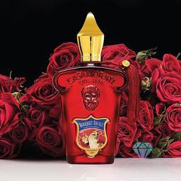 عطر مورد علاقه من برای فصل پاییز و زمستون