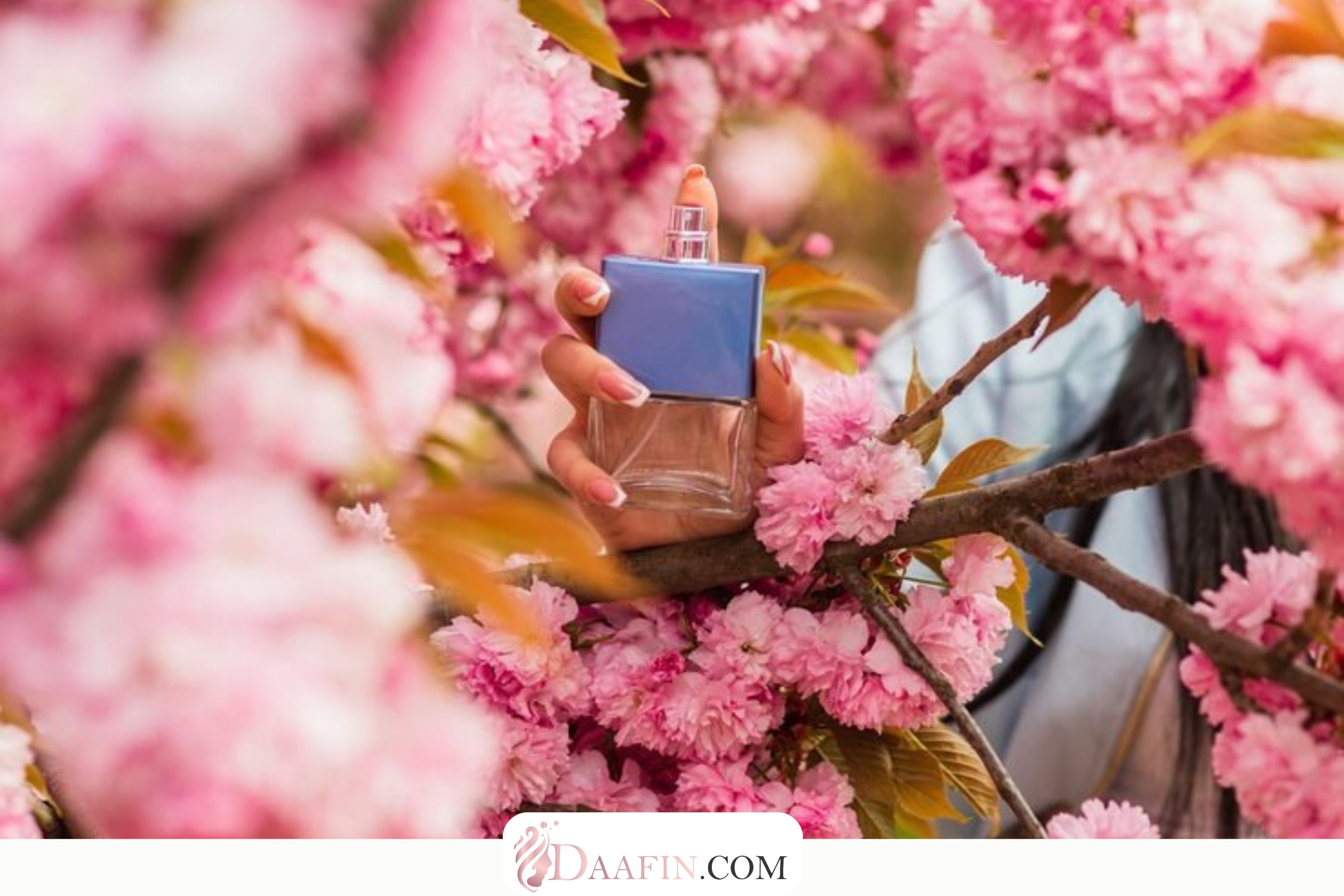 بهترین عطرها و بادی اسپلش‌های زنانه