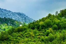 نفرین منابع طبیعی،تحلیلی بر تاثیر وفور منابع بر رشد اقتصادی با تمرکز بر تجربه ایران